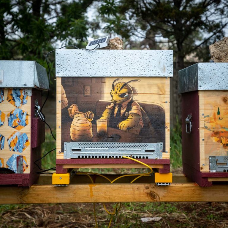 Apiario d’Autore – artisti a SOStegno delle API
